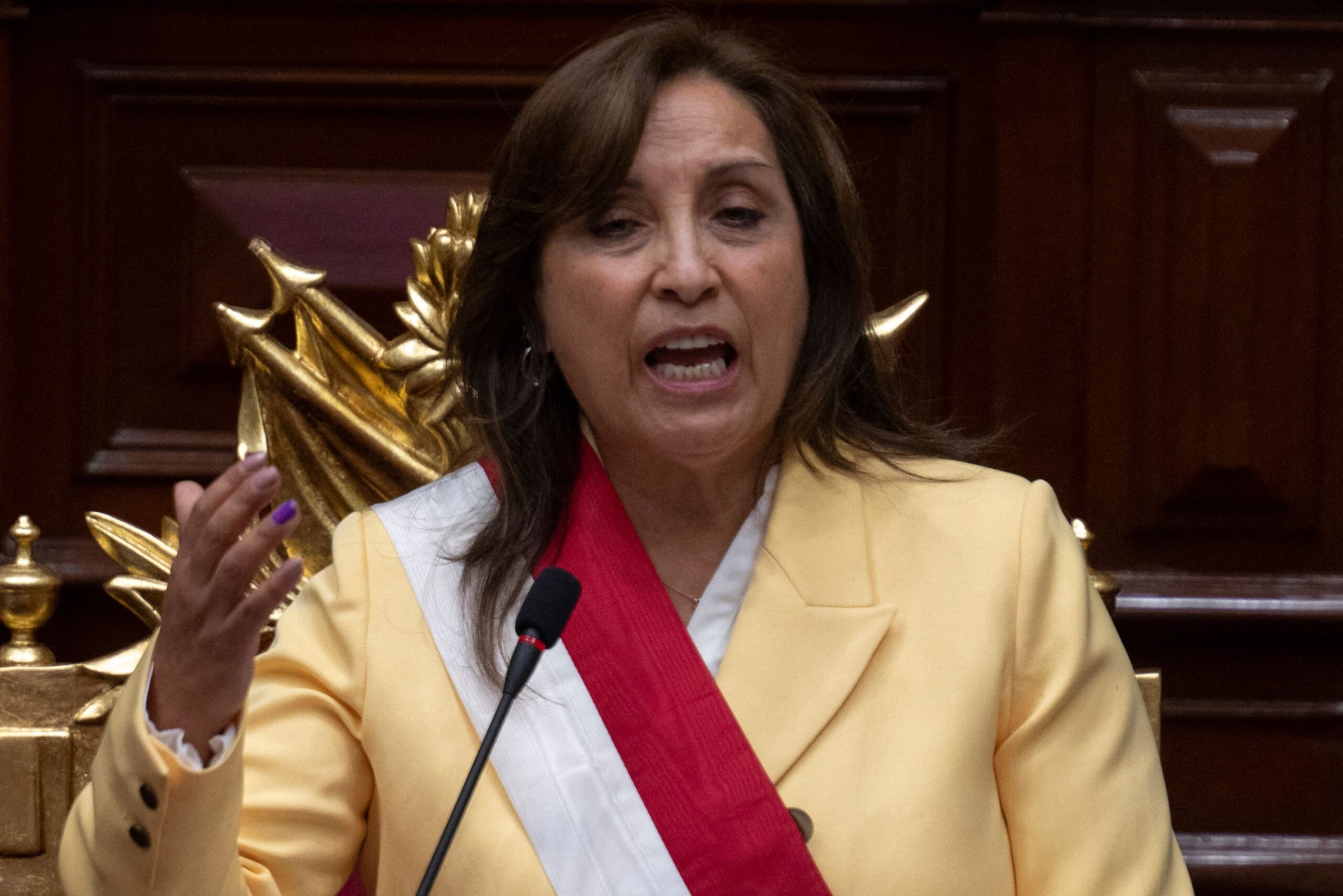 Dina Bolvarte, President of Peru