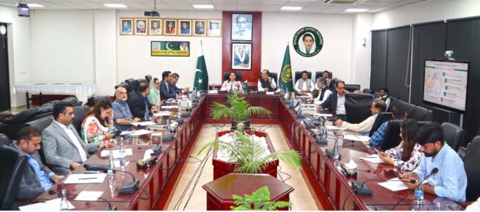 بینظیر انکم سپورٹ پروگرام پاکستان کا سب سے بڑا سماجی تحفظ کا پروگرام ہے ، مستحق خواتین کی معاشی بااختیاری میں بی آئی ایس پی کا کردار بہت اہم ہے، چیئرپرسن بی آئی ایس پی سینیٹر روبینہ خالد کی میڈیا بریفنگ بینظیر انکم سپورٹ پروگرام پاکستان کا سب سے بڑا سماجی تحفظ کا پروگرام ہے ، مستحق خواتین کی معاشی بااختیاری میں بی آئی ایس پی کا کردار بہت اہم ہے، چیئرپرسن بی آئی ایس پی سینیٹر روبینہ خالد کی میڈیا بریفنگ