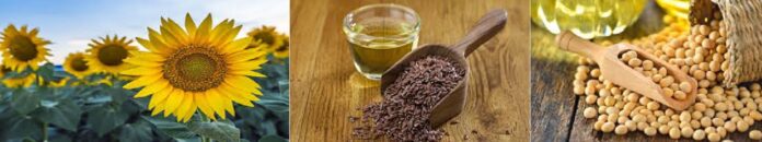 فیصل آباد،پنجاب میں تیلدار اجناس کی ربیع اقسام کی کاشت کے شیڈول کااعلان