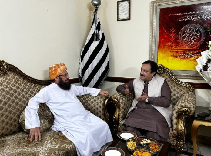 Deputy Chairman Senate