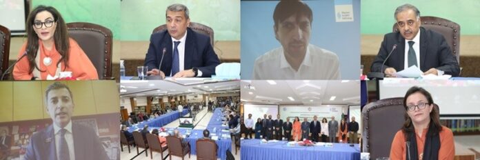 Organized an international conference