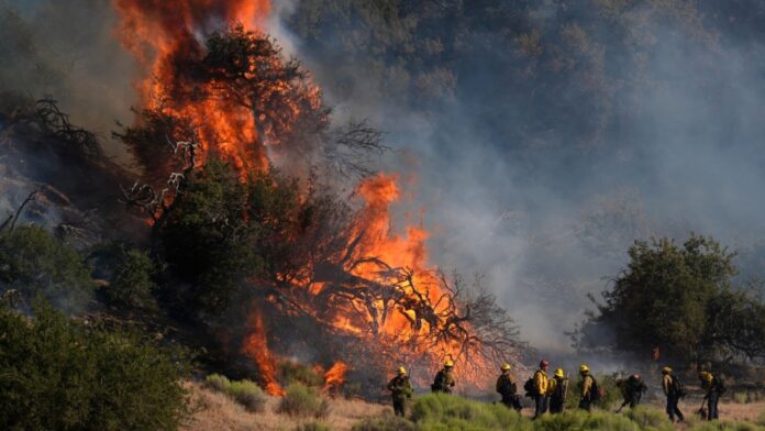 fire in the forests of Los Angeles, USA