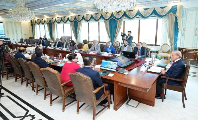 وزیرِ اعظم شہباز شریف کی لبنان اور غزہ کے لئے امدادی سامان کی ترسیل تیز کرنے کی ہدایت