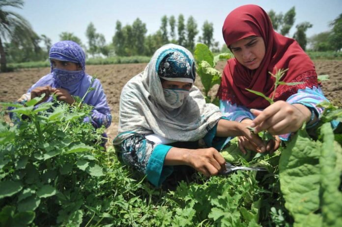 International Day of Rural Women
