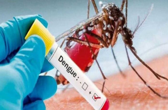 Anti-Dengue
