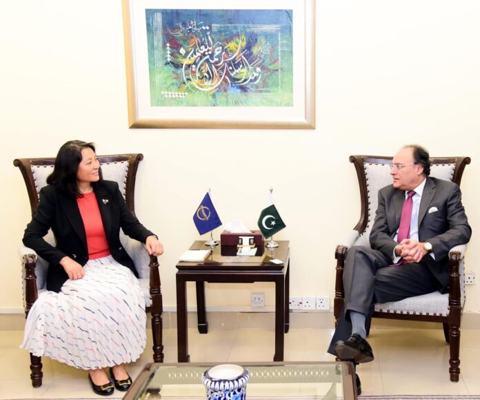 حسابات جاریہ کے کھاتوں کے خسارہ اورمہنگائی میں نمایاں کمی سمیت کلیدی معاشی اشاریوں سے معاشی استحکام کی عکاسی ہورہی ہے،وفاقی وزیرخزانہ محمداورنگزیب کی مختلف وفود سے گفتگو