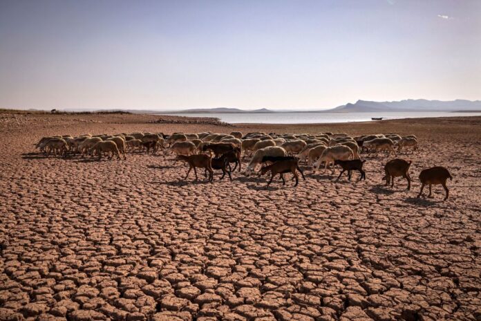 Drought in Morocco