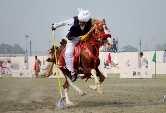 ڈیرہ اسماعیل خان کے نواحی علاقہ ملانہ میں سالانہ جشن ملانہ گھڑ سوار نیزہ بازی میلے کا انعقاد