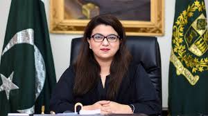 مصنوعی ذہانت ٹیکنالوجی کی ترقی، قومی شناخت اور معاشی نمو کے لیے نہایت ضروری ہے،شزا فاطمہ خواجہ