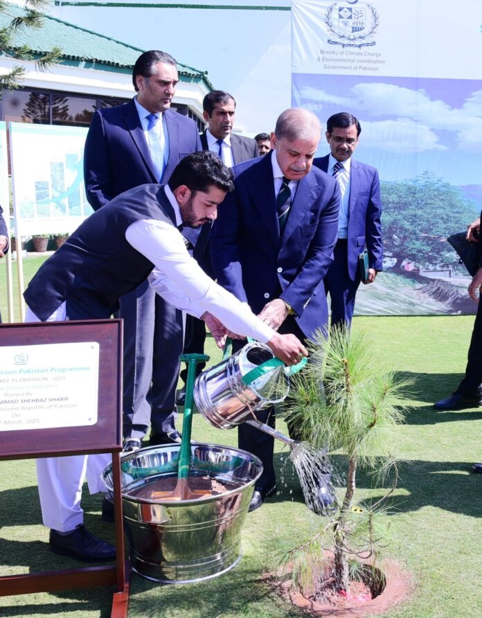 وزیراعظم نے 2025 کی شجرکاری مہم کا آغازکردیا، پوری قوم بالخصوص نوجوان اور کسان مہم میں بڑھ چڑھ کر حصہ لیں، شہباز شریف 