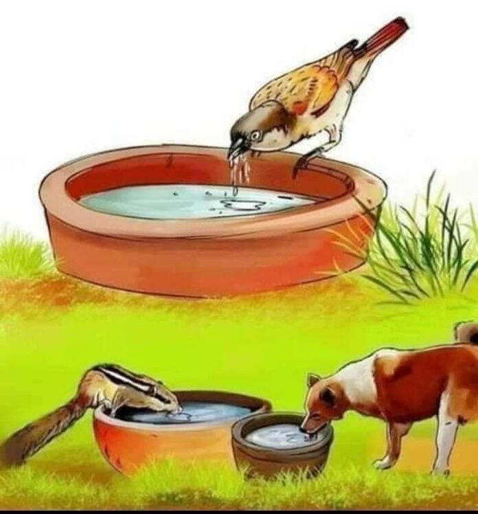 پی ایچ اے مختلف پارکوں میں 800 سے زائد برتن برائے پانی و خوراک نصب کرے گا،کمشنرملتان ڈویژن