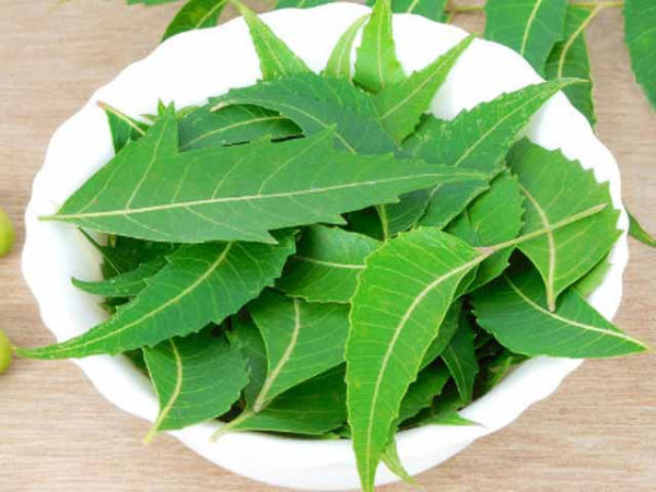 فیصل آباد،گھریلو افراد کوگندم ذخیرہ کرتے وقت بھڑولوں اور بوریوں میں نیم کے پتے رکھنے کی ہدایت
