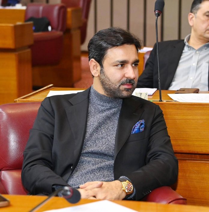 ٹیکس اصلاحات سمیت مختلف شعبوں میں بہتری کے اقدامات تجویز کئے گئے ہیں، علی موسیٰ گیلانی