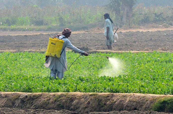 Pesticides