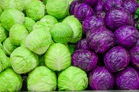 Cabbage cheese