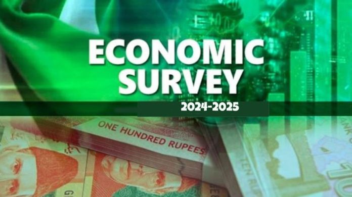 Economic Survey