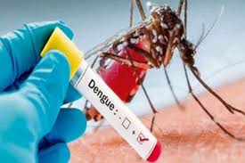 Anti-Dengue