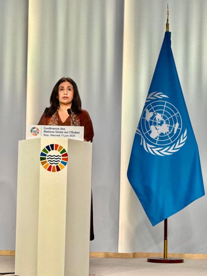آئندہ نسلوں کے لیے سمندروں کے تحفظ کے حوالے سے عالمی سطح پر موثر اقدامات اور باہمی تعاون کی ضرورت ہے، سفیر ممتاز زہرا بلوچ