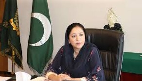 کمیونسٹ پارٹی آف چائنا کے 105 سال ترقی، اصلاحات اور قومی احیا کی عظیم داستان ہیں، وجیہہ قمر