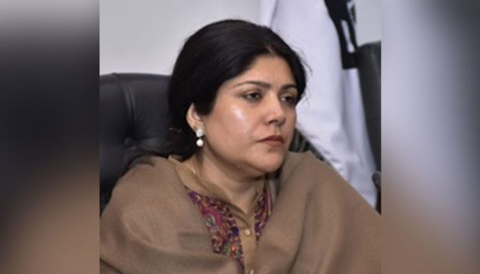 واجبات کی بروقت اور مؤثر وصولی کے لیےکوششیں تیز کی جائیں، کنزہ مرتضیٰ