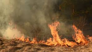 fire breaks out in Martigues, France