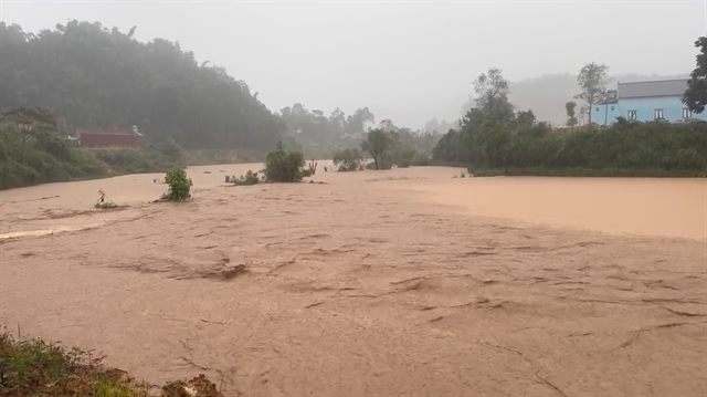 Flood