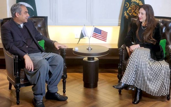 وفاقی وزیرداخلہ محسن نقوی سے امریکہ کی قائم مقام سفیر نیٹلی بیکر کی ملاقات