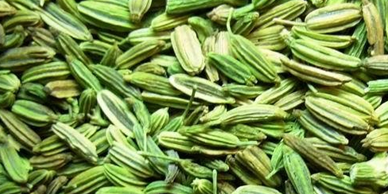 کاشتکاروں کو سونف اور السی کی کاشت ستمبرمیں مکمل کرنے کامشورہ