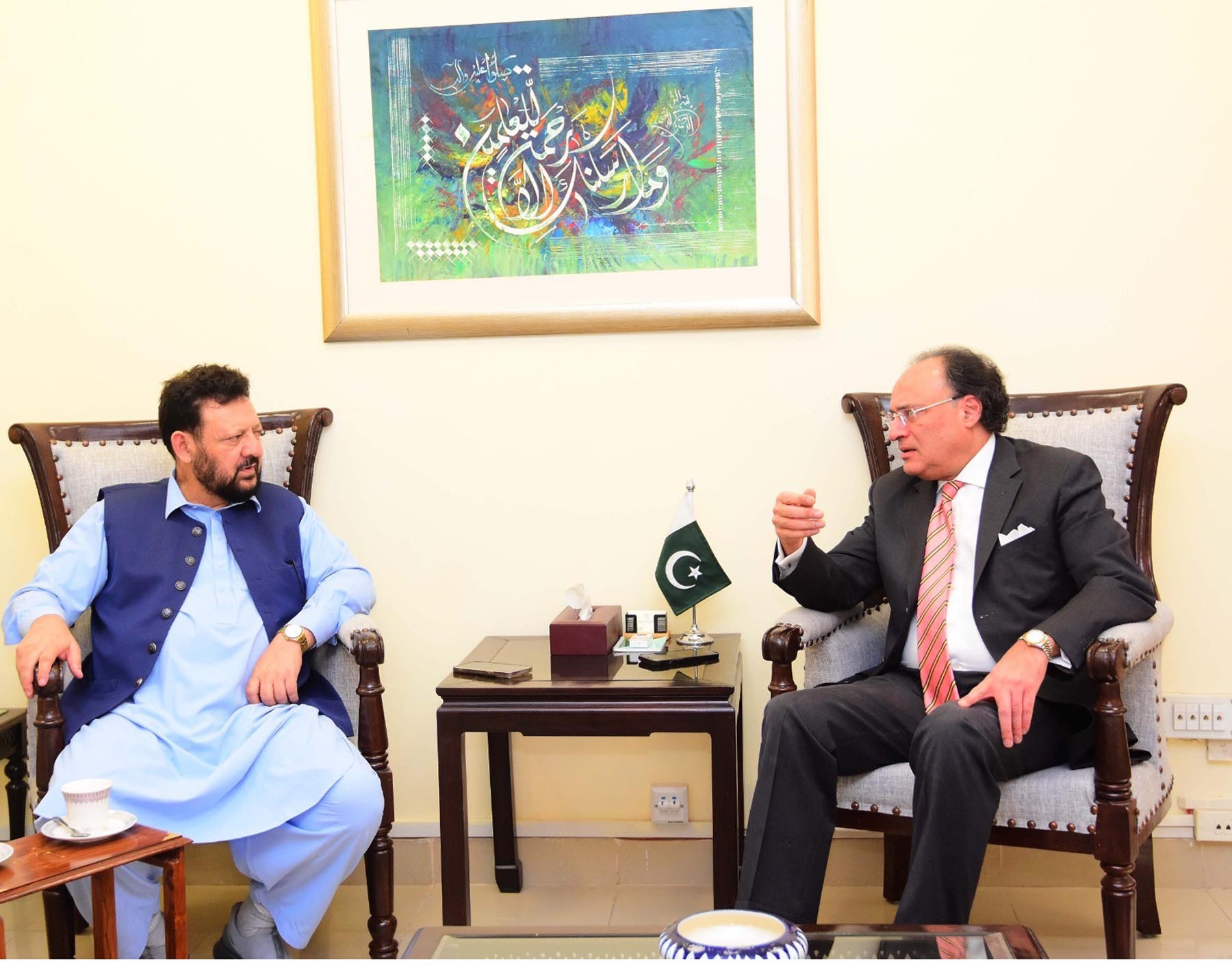 وفاقی وزیر خزانہ محمد اورنگزیب کی وزیراعلیٰ گلگت بلتستان سے ملاقات میں گفتگو