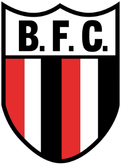 Brazilian football club Botafogo