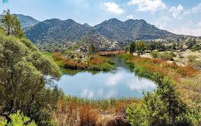 Saudi Royal Reserve
