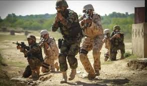 Security forces