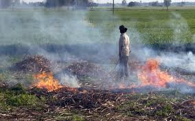 Avoid burning crop residues.