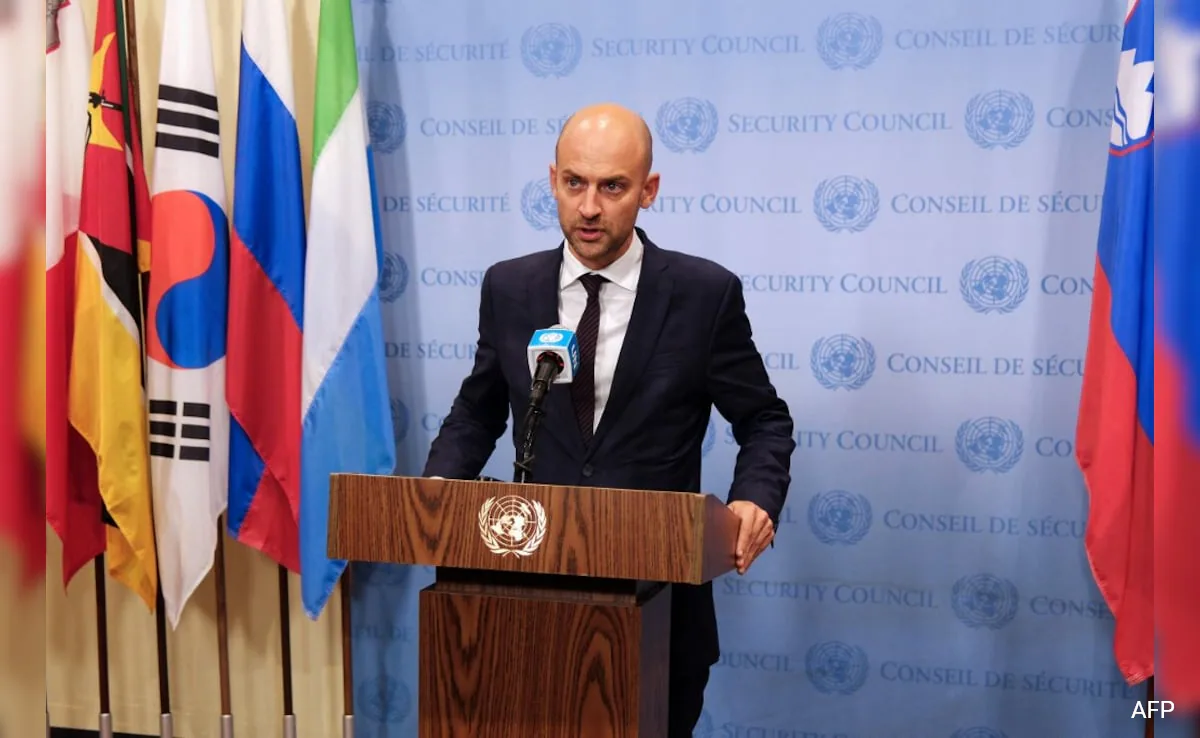 French Foreign Minister Jean-Nouvel Barrow