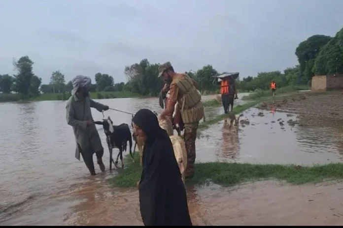 Pak Army