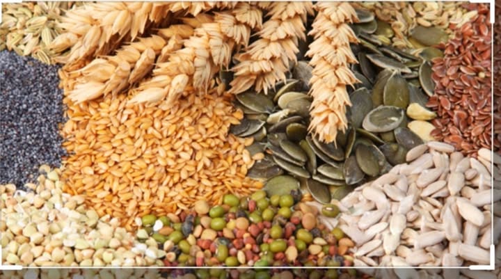 کاشتکار دیگر زرعی اجناس کی طرح سبزیوں کی زیادہ سے زیادہ کاشت یقینی بنائیں ، چوہدری خالد محمود