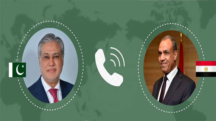 نائب وزیراعظم محمد اسحاق ڈار کا مصری وزیر خارجہ سے ٹیلی فونک رابطہ