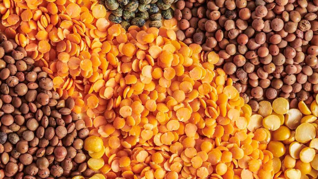 کاشتکار مسور کی منظور شدہ اقسام کی کاشت 15 نومبر تک مکمل کرلیں، شرح بیج کا بھی خصوصی خیال رکھنے کی ہدایت