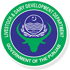 گوشت اور دودھ کی زیادہ پیداوار کے لئے جانوروں کے پیٹ اور جلد کے کیڑوں کا تدارک ضروری ہے،ایڈیشنل ڈائریکٹر محکمہ لائیوسٹاک سیالکوٹ