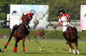 Polo in Pink Cup