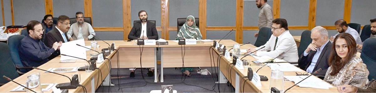 Standing Committee on Privatization