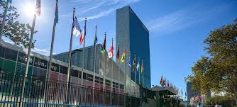 UN monitoring team
