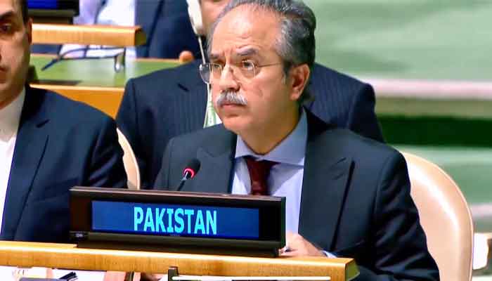 ایران پر حملے اور جوابی کارروائیاں علاقائی سلامتی کےلئے نقصان دہ، دور رس نتائج برآمد ہوں گے، پاکستان کا سلامتی کونسل میں انتباہ