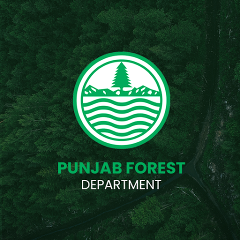 پنجاب فاریسٹ ڈیپارٹمنٹ کا ریشم پیداوار بڑھانے اور 112 ارب روپے کی درآمدات کم کرنے کا منصوبہ