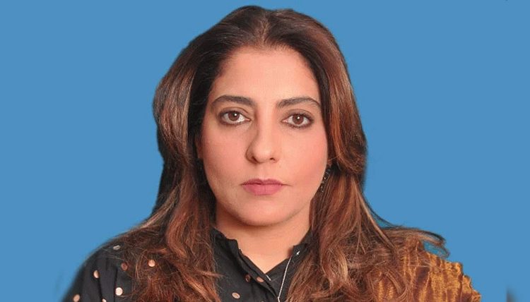 سندھ اور اس کے باسی ارض پاک کی طرف بڑھنے والا ہاتھ توڑ کر سمندر برد کر دیں گے، رہنما پی پی پی سینیٹر پلوشہ خان