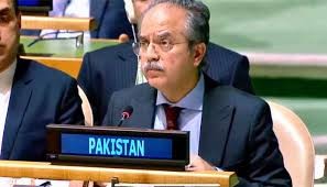 اقوامِ متحدہ میں پاکستان کا سماجی یکجہتی اور ہمدردی پر مبنی نگہداشت کے اداروں کے فروغ پر زور