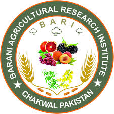 Rainfed Agricultural Research Institute Potohar