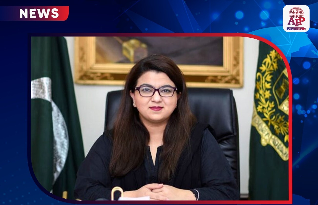 نوجوانوں کو اے آئی مہارتوں کی تربیت دینے کا ملک گیر پروگرام شروع کیا جائے گا،وفاقی وزیرشزہ فاطمہ خواجہ