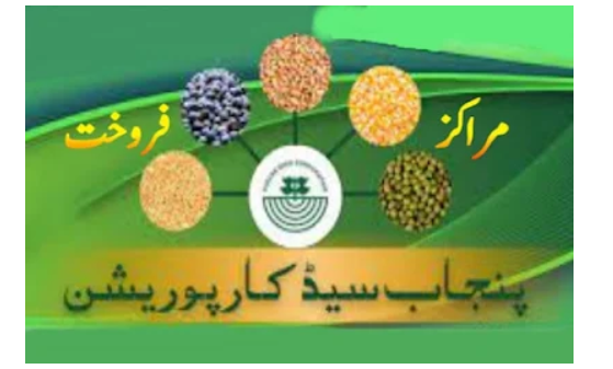 سیڈ کارپوریشن کو قصبات کی سطح تک کاشتکاروں کو معیاری بیجوں کی فراہمی کیلئے ڈیلرشپ نیٹ ورک میں توسیع کی ہدایت