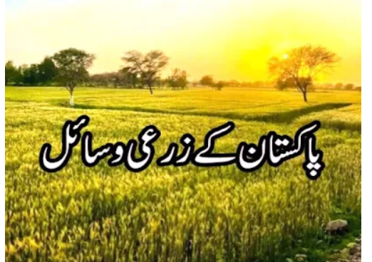 ملکی غذائی ضروریات پوری کرنے کیلئے زراعت کے شعبہ میں ہونیوالی تحقیق کے فوائد عام کسانوں تک پہنچا نا ہوں گے،ماہرین زراعت